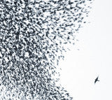 Wilco - Sky Blue Sky [Limited Edition Sky Blue Vinyl 2 LP]