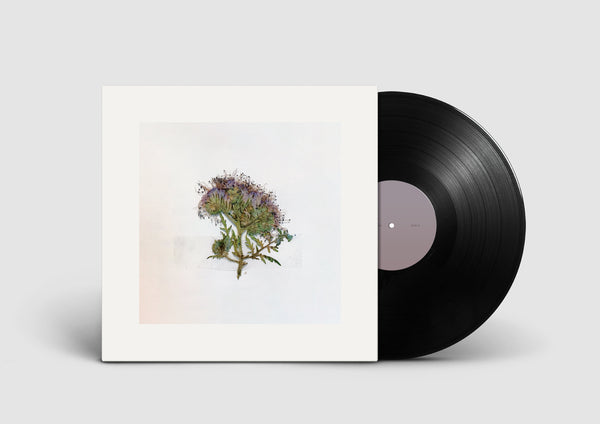 Taylor Kopp - Found [Vinyl LP]